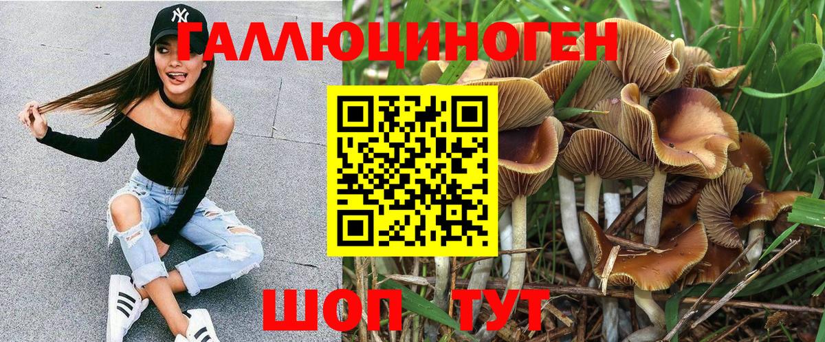 как найти закладки  Вход с VPN  Черкесск  Галлюциногенные грибы ЛСД 